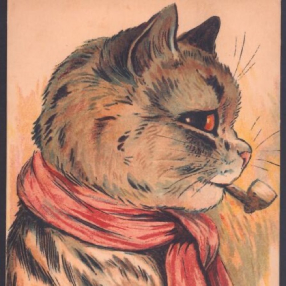 Meet your Posher, Shaun